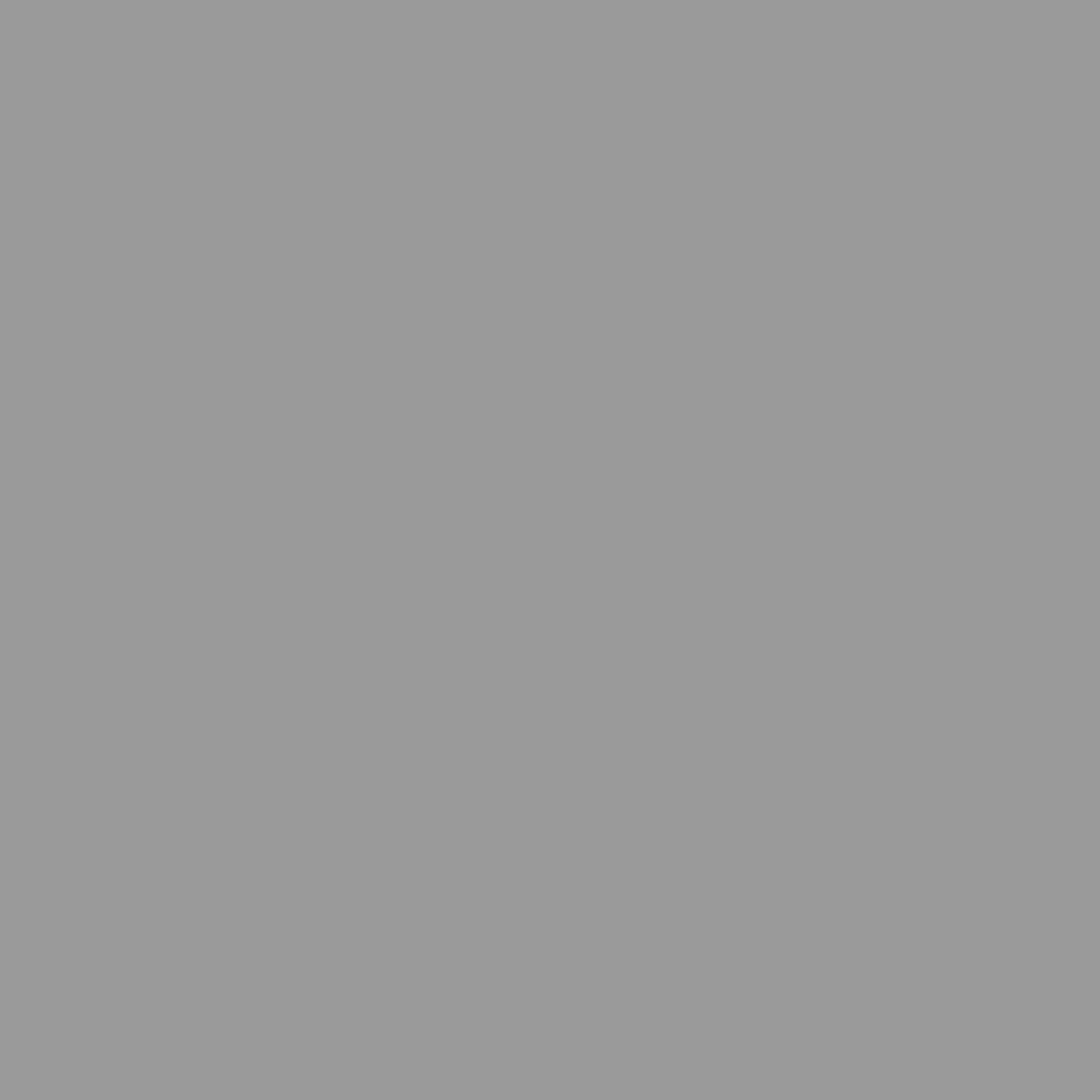 bleujardin Abri de Jardin avec Toit prolongé Gris Clair 277x107x181 cm, Maison & Jardin, Pelouses & Jardins, Vie en extérieur, Structures extérieures, Cabanes & abris de Jardin, Gris, (Poids 41.56KG)