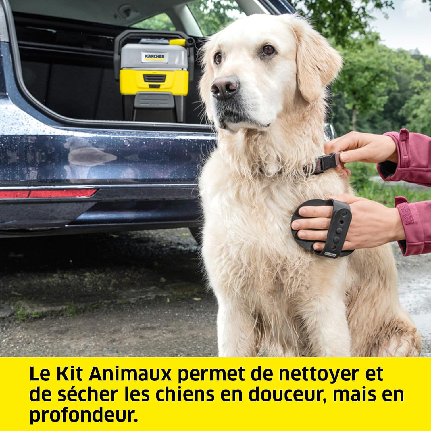 bleujardin Nettoyeur à Pression Mobile OC 3 + Kit Animaux, Débit : 2 L/h, Réservoir : 4L, Tuyau : 2,8 m, Buse à Jet Plat, Buse Conique, Brosse Pet, Serviette pour Animaux Domestiques, Boîte de Rangement