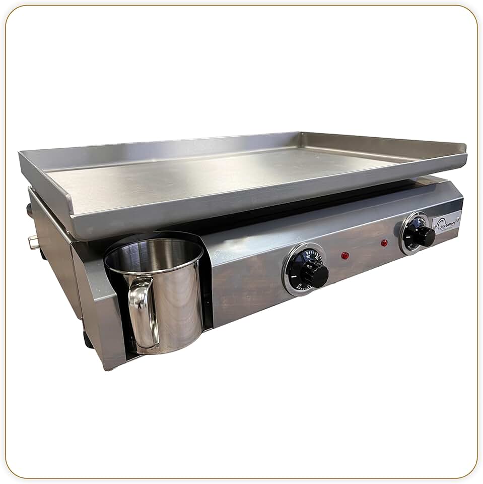 bleujardin - Plancha électrique 2 zones inox 3000W, 60x40cm - 8679