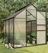 Angles multiples d'une serre avec cadre noir et panneaux transparents, montrée dans un jardin avec de l'herbe et des arbres visibles en arrière-plan.