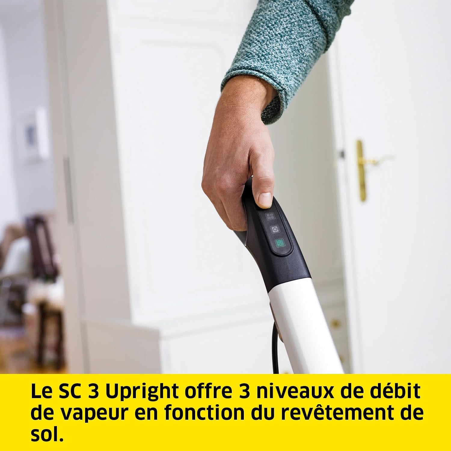 bleujardin - SC 3 Upright EasyFix - 0,5L - 1 600W - 60m² - vapeur rapide