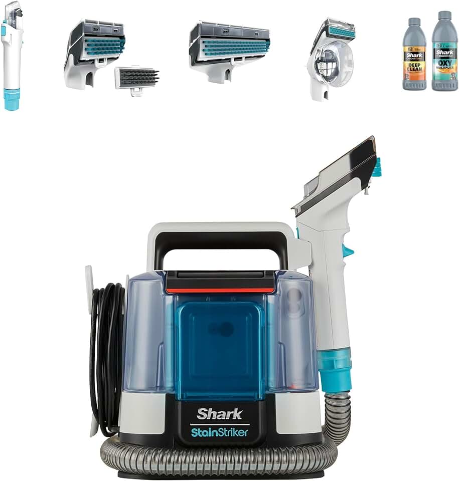 bleujardin - StainStriker portable 450W - 5 outils, 2 formules - PX200EUT