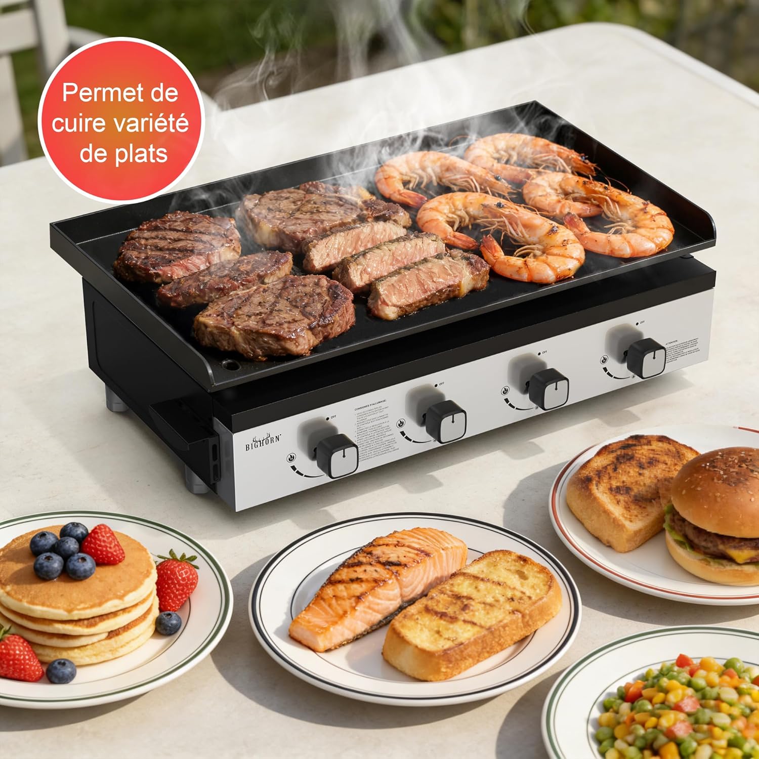 Plancha à gaz - 4 brûleurs, 10kW, noir, grande surface de cuisson