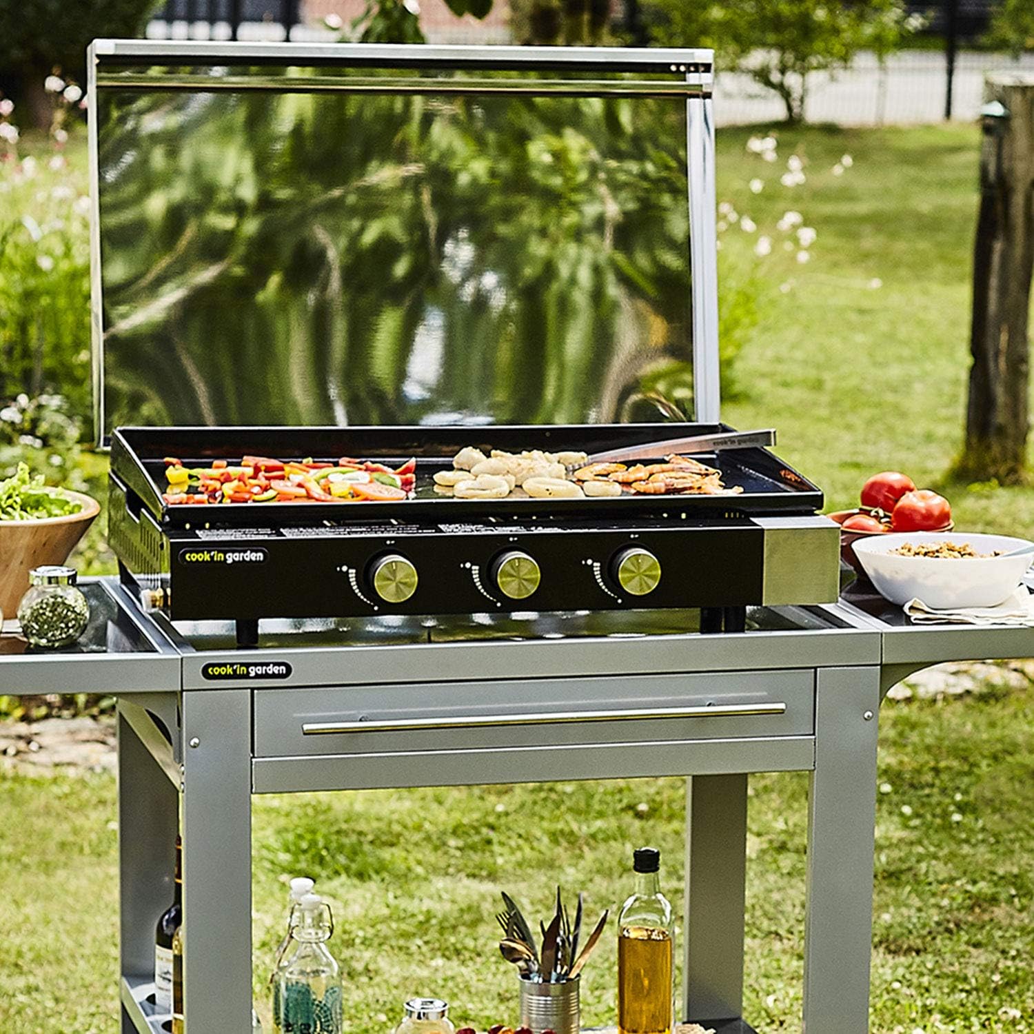 bleujardin - FINESTA - plancha gaz 3 brûleurs, plaque fonte, capot, récupérateur