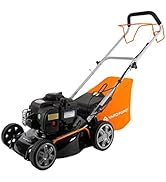 bleujardin - Tondeuse à gazon Thermique 125cc - Largeur de coupe41cm avec Moteur àessence Briggs ...