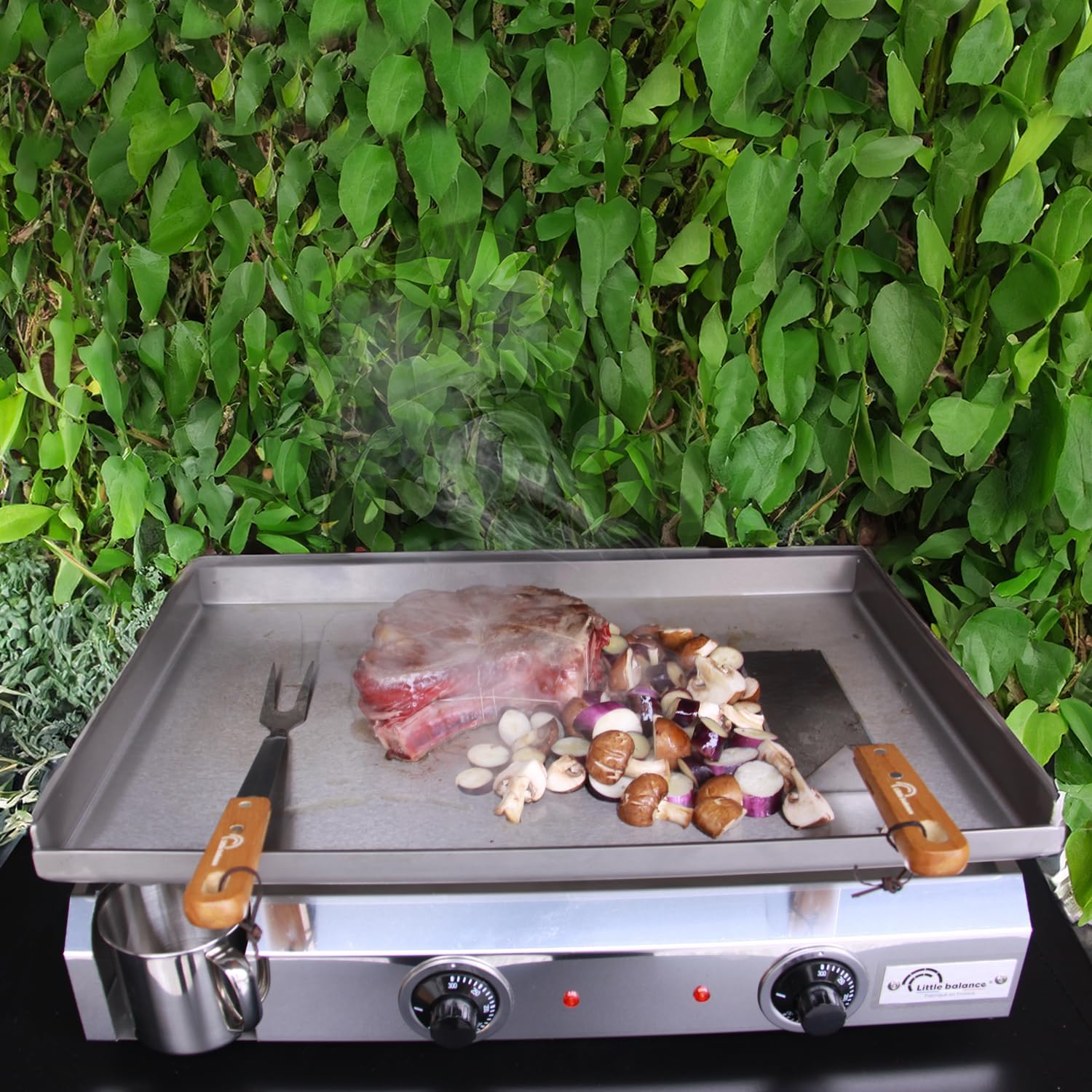 bleujardin - Plancha électrique 2 zones inox 3000W, 60x40cm - 8679
