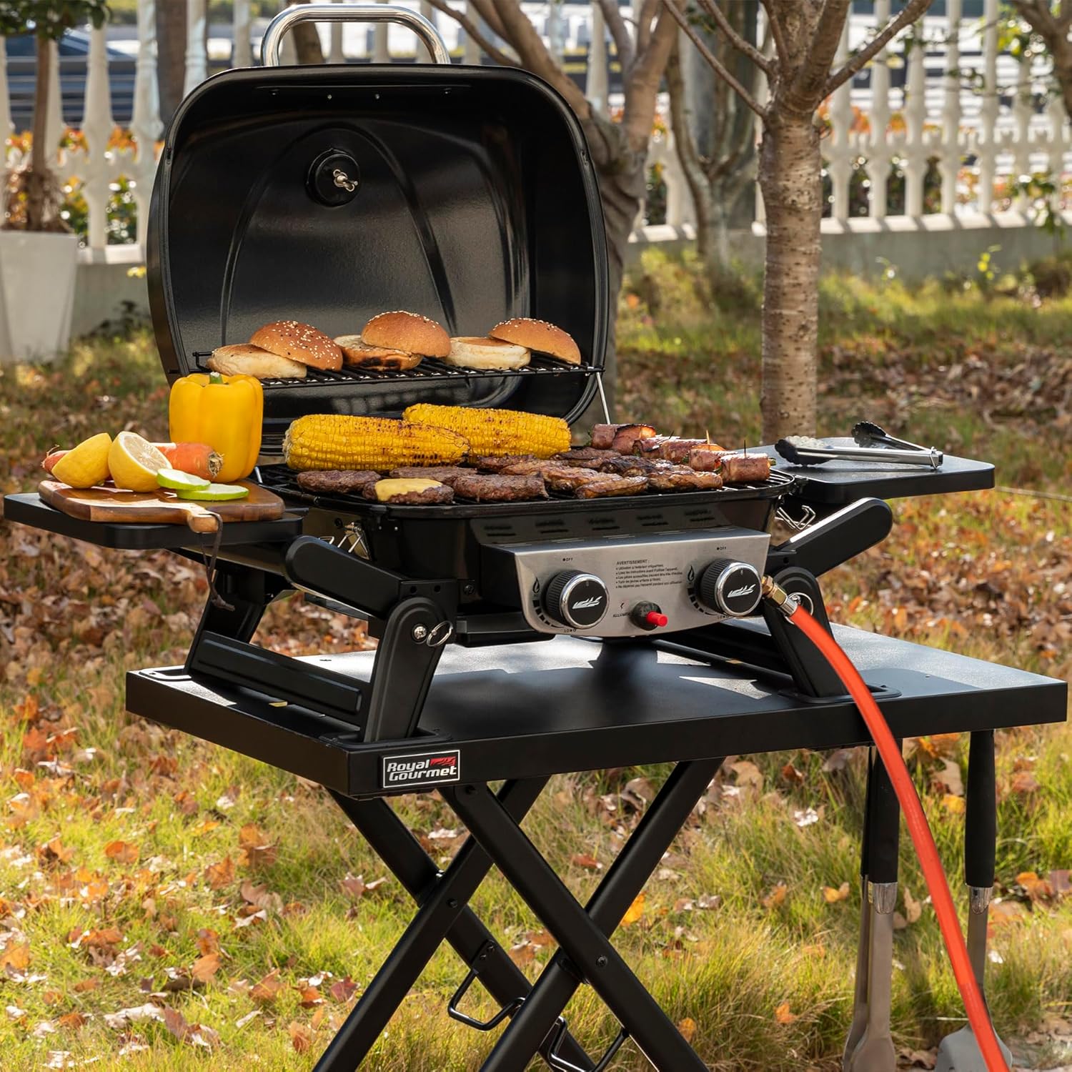 bleujardin - barbecue gaz portable - 48x37 cm - 2 brûleurs, tables pliantes, chariot détachable, 5kW