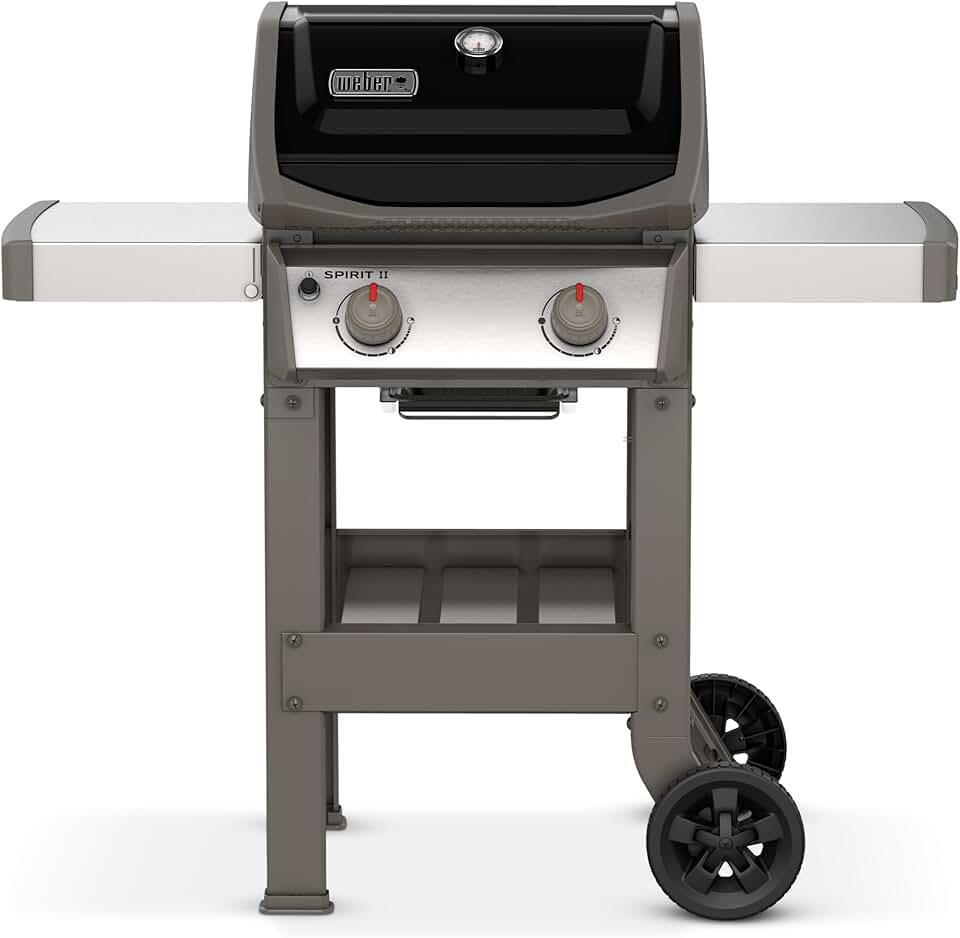 bleujardin - Spirit II E-210 - 51x46 cm - Barbecue gaz 2 brûleurs, grilles GBS, GS4, tablettes noir/argent