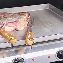 bleujardin, plancha électrique, plancha inox, fabrication française, made in France