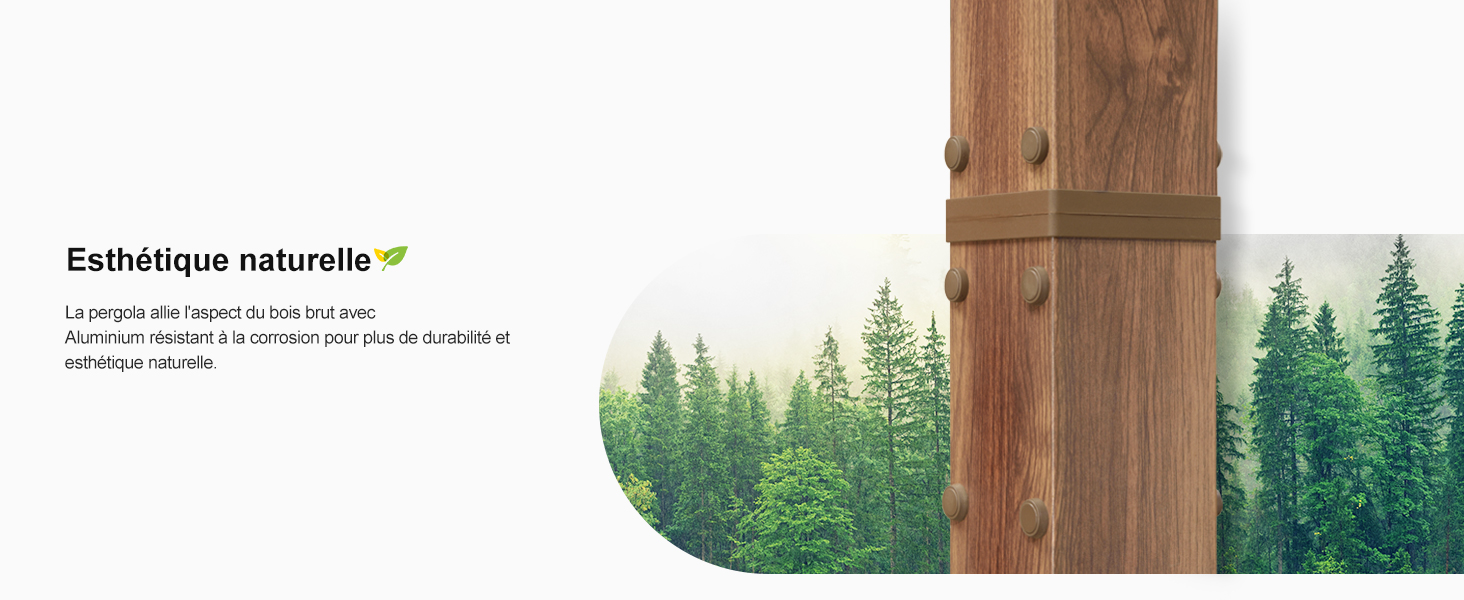 Porte d'armoire ou panneau en bois avec grain naturel visible. L'image de fond montre la silhouette de la forêt de pins contre le ciel.