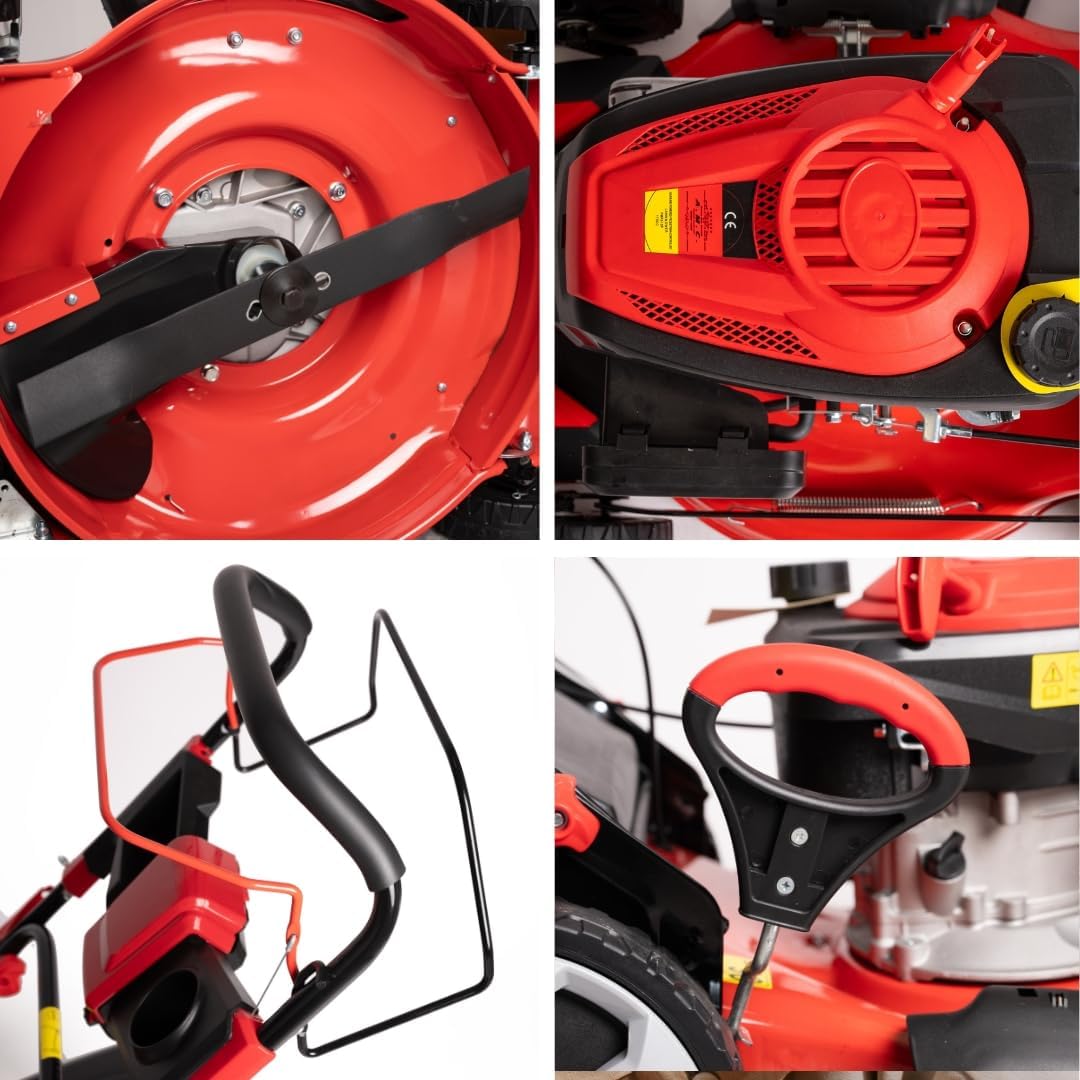 bleujardin Tondeuse à gazon à explosion automotrice 4in1-4 CV, Tondeuse à gazon thermique autoportée - Moteur 170cc 4 temps avec autotraction - Largeur de coupe 51 cm - Mulching - Panier de collecte 60L