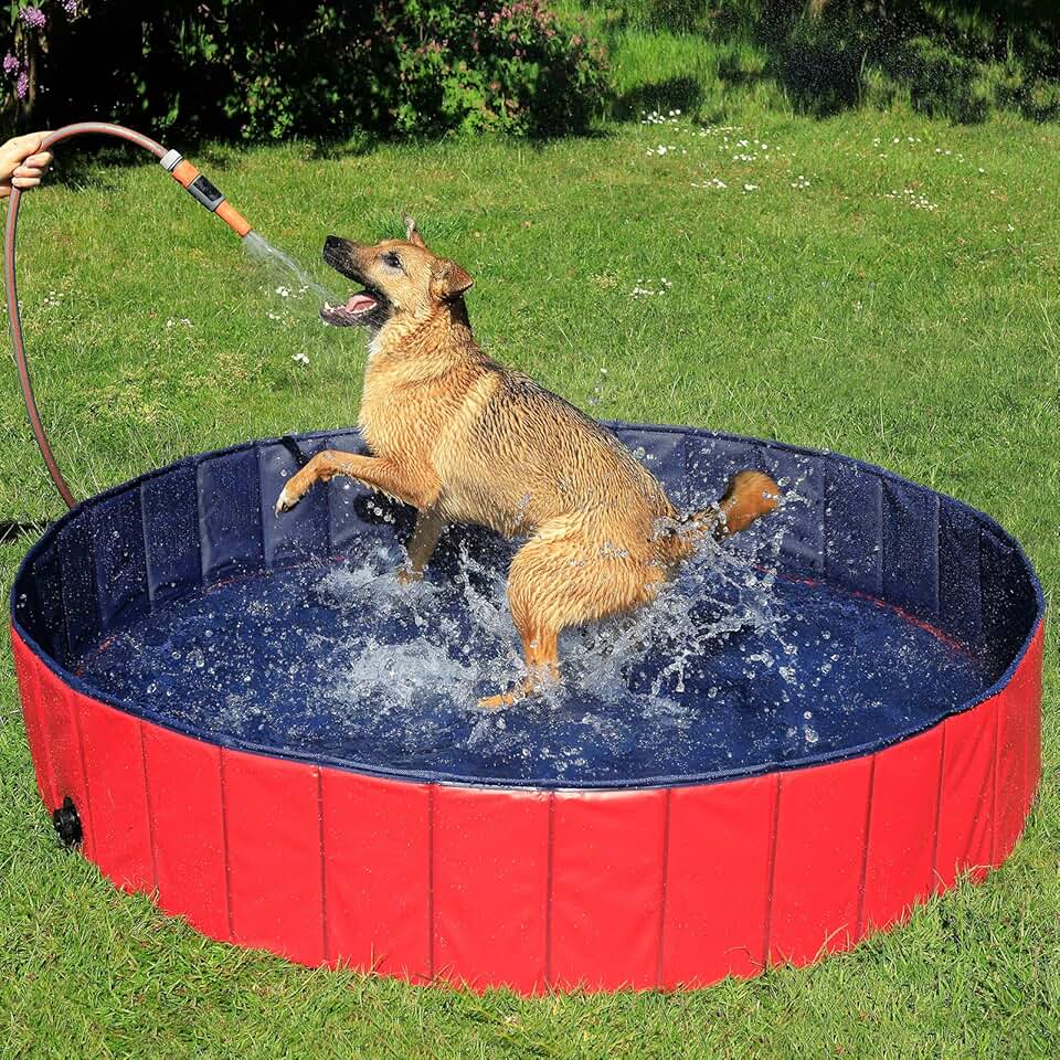 bleujardin - Piscine pliable Ø160x30cm - PVC antidérapant, bouchon vidange