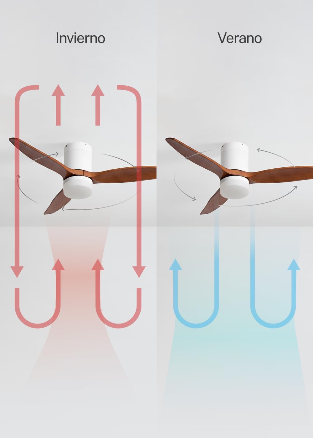 CREATE WINDCALM S Ventilateur de plafond ABS avec lumière blanche, pales effet bois foncé avec Wi-Fi et télécommande, 40 W, minuteur, Ø112 cm, 3 températures de lumière, fonction été/hiver