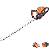 bleujardin - Taille-Haies sans fil 40V avec Lame 60cm, Batterie au Lithium et chargeur - LH G60