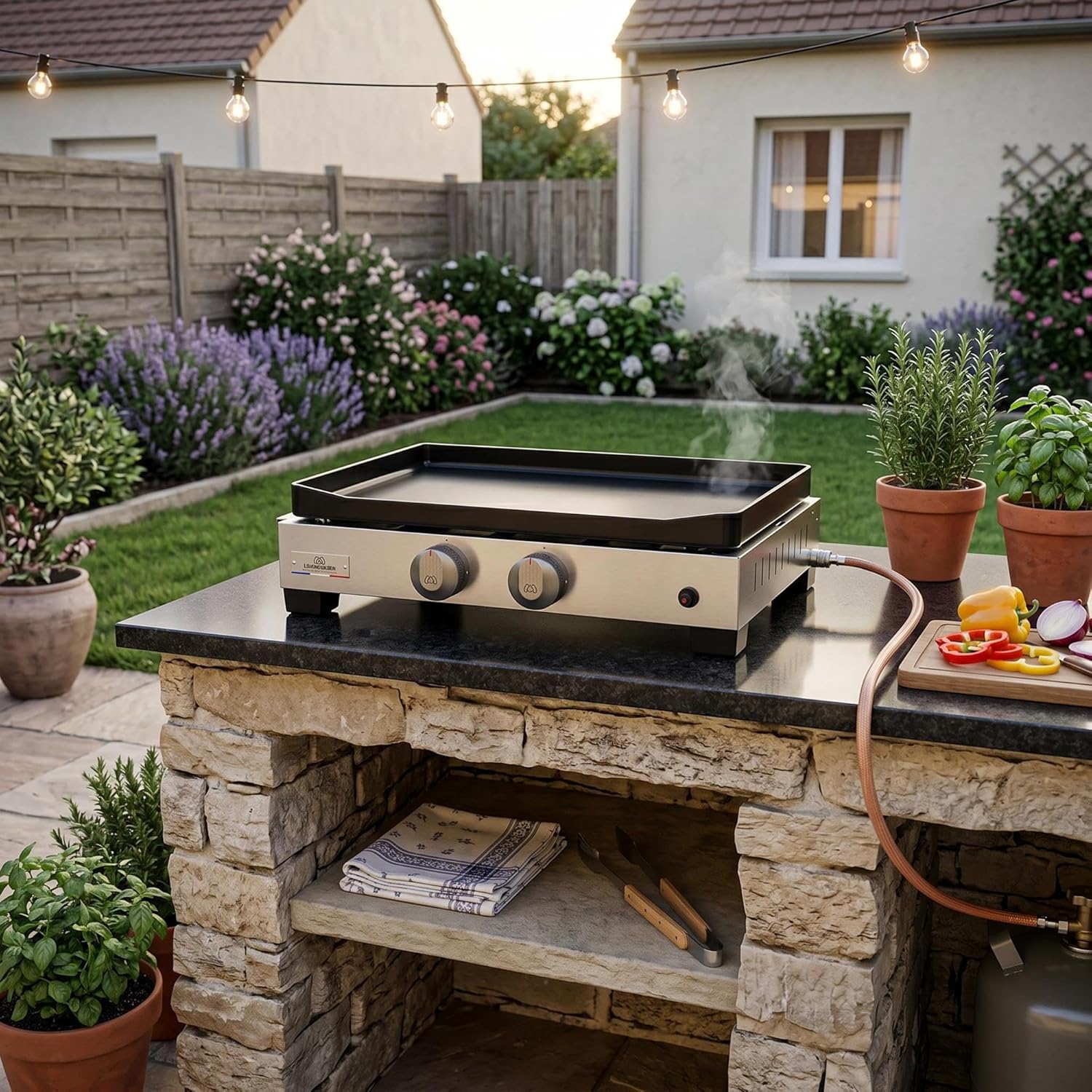 bleujardin - Plancha La Petite Francaise - gaz - 250