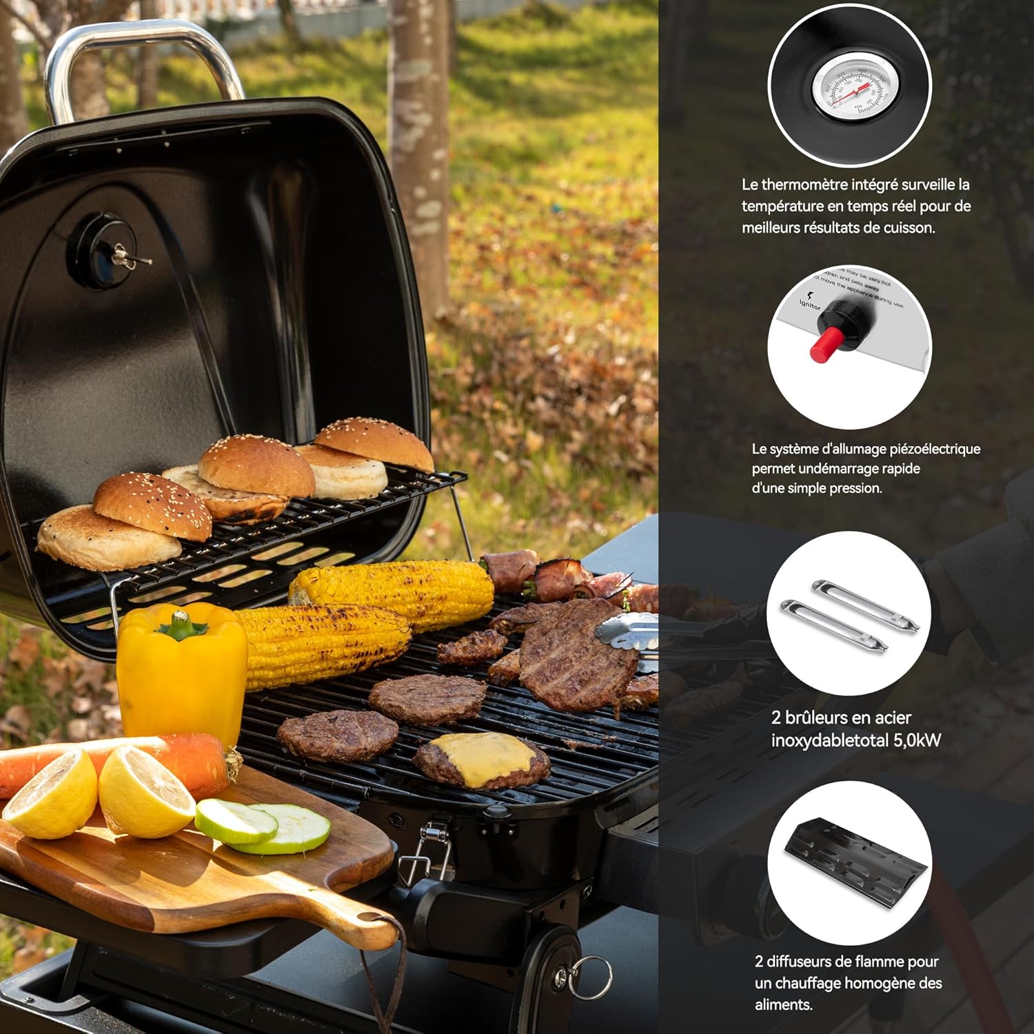 bleujardin - barbecue gaz portable - 48x37 cm - 2 brûleurs, tables pliantes, chariot détachable, 5kW